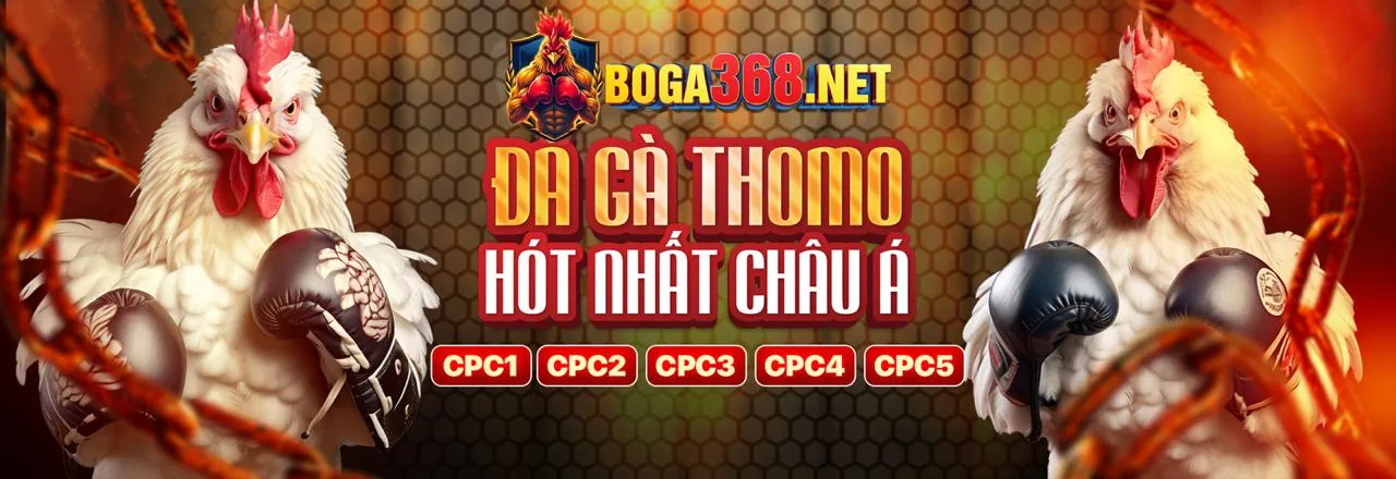 Hình ảnh chính đá gà win8